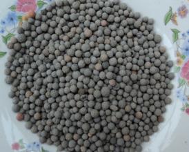 ��������Щ�����������V�Ϸ֞��Ď׷N